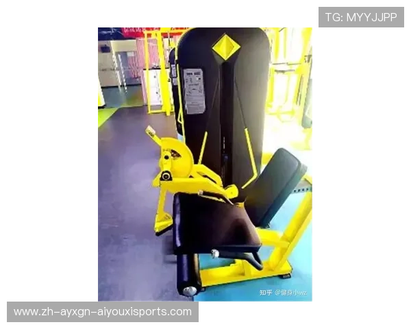 锻炼的健身器材种类及科学训练方法介绍